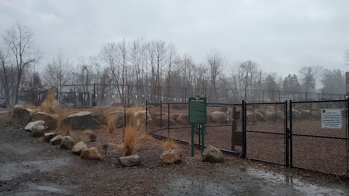Oakland Dog Park Picture 8