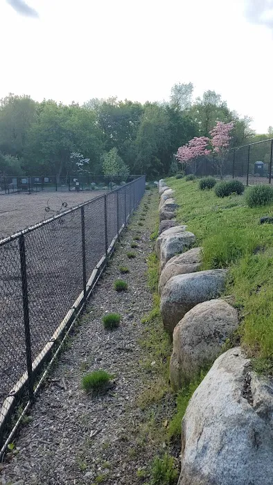 Oakland Dog Park Picture 3
