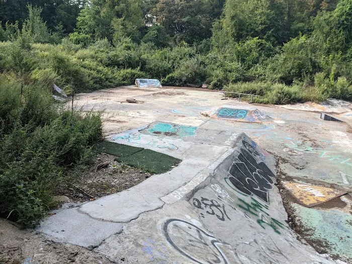 Oakland Dog Park Picture 5