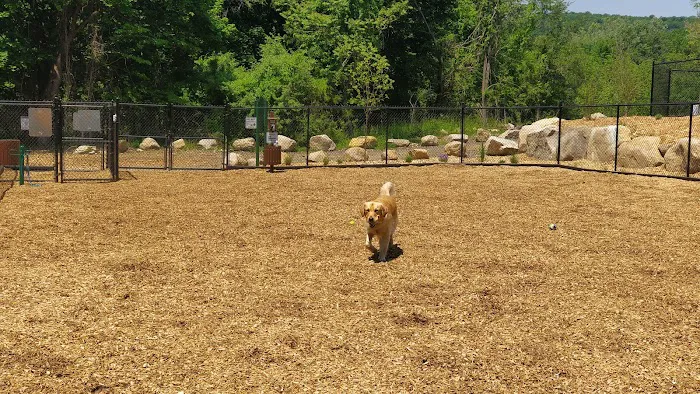 Oakland Dog Park Picture 7