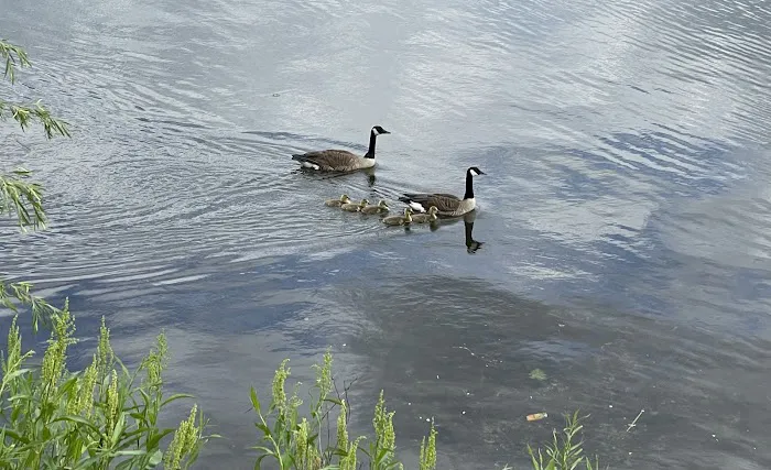 Pompton Lakes Memorial Park Picture 4