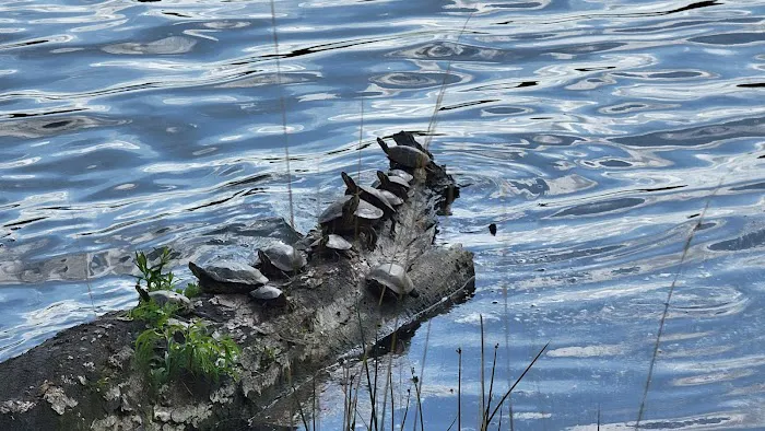 Lakeside Park Picture 3