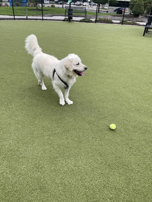 Estuary Apartment Dog Park Picture 3