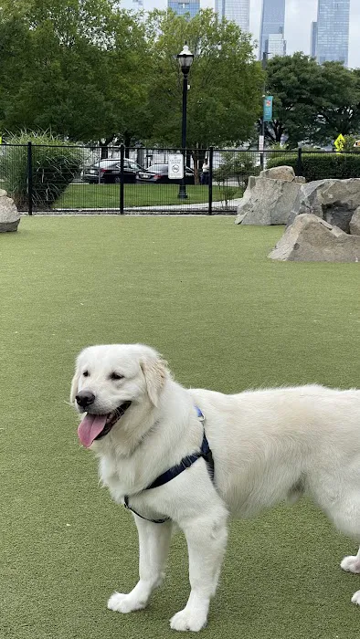 Estuary Apartment Dog Park Picture 2