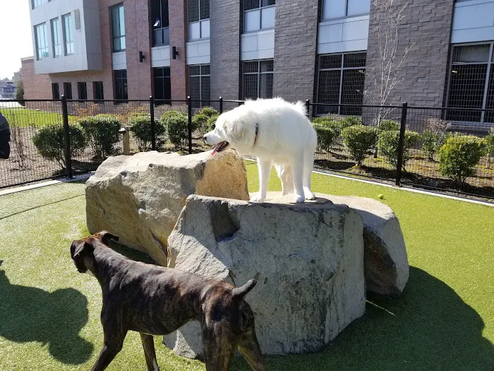 Estuary Apartment Dog Park Picture 6