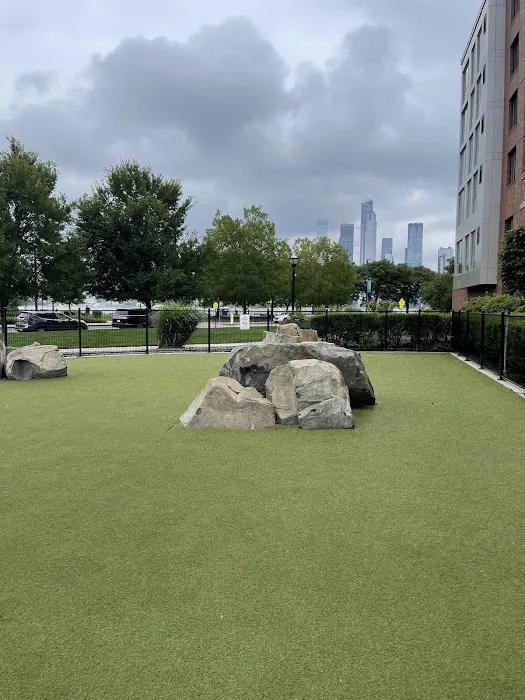 Estuary Apartment Dog Park Picture 4