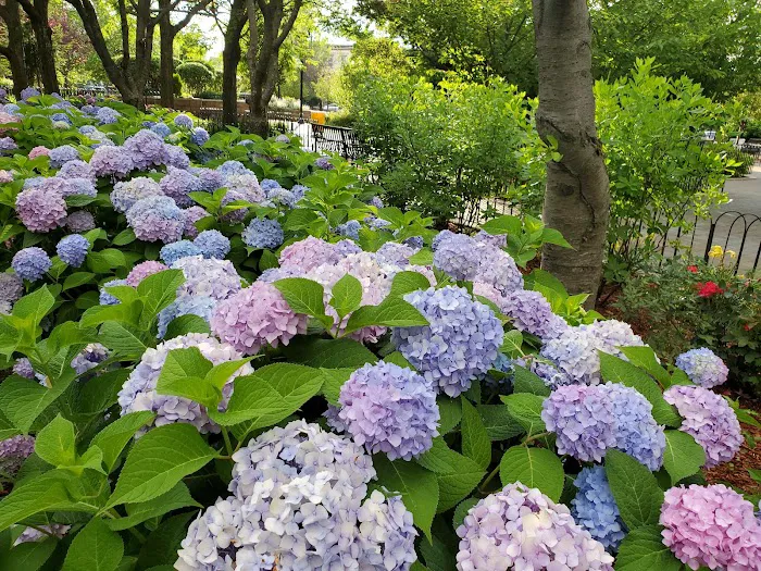Ellsworth Park Picture 7
