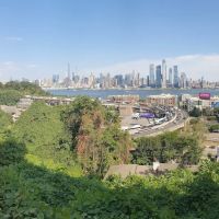 Gregory Park ico