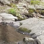 Ramapo Mountain