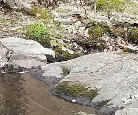 Ramapo Mountain