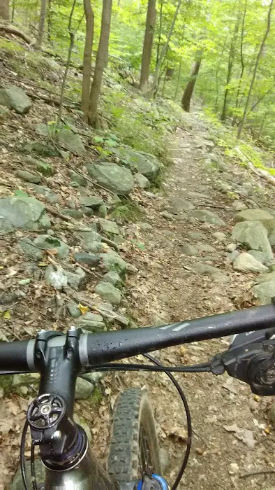 Ramapo Mountain Picture 7
