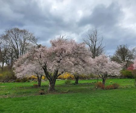 New Jersey Botanical Garden