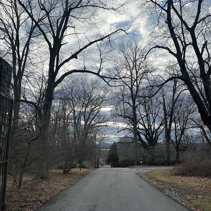 Ringwood State Park Picture 10