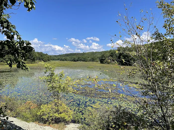 Ringwood State Park Picture 7