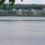 Greenwood Forest Corporation