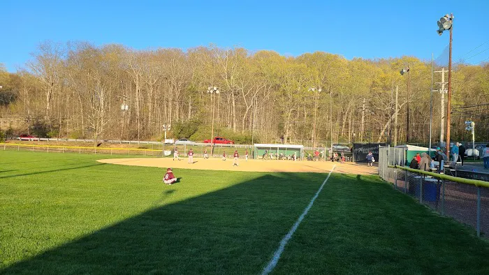 Boro field Picture 1