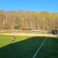 Boro field ico