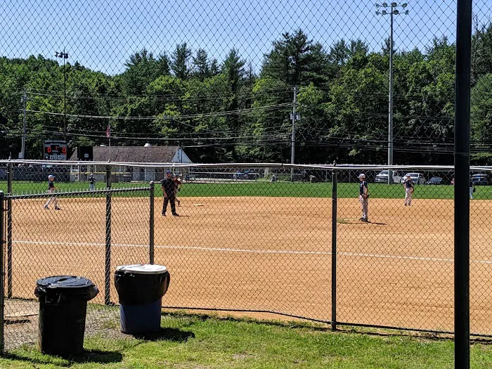 Boro field Picture 10