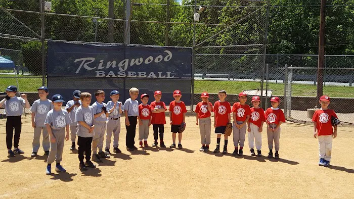Boro field Picture 5