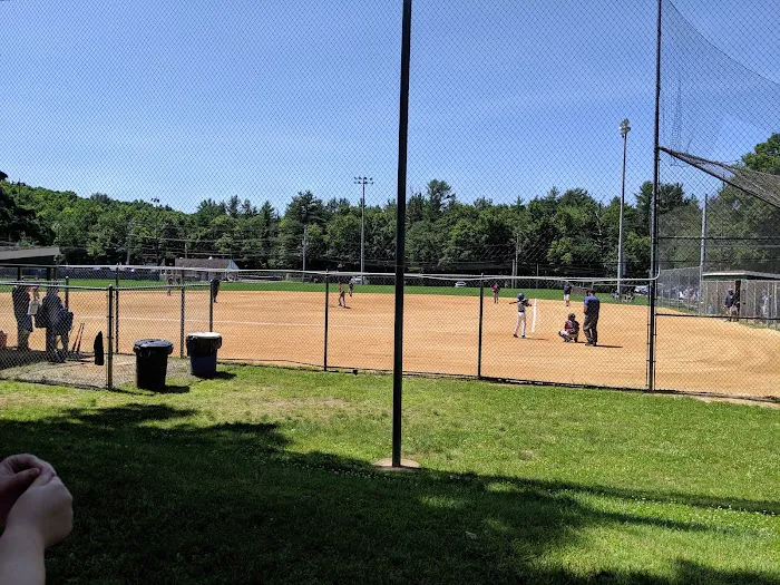 Boro field Picture 9