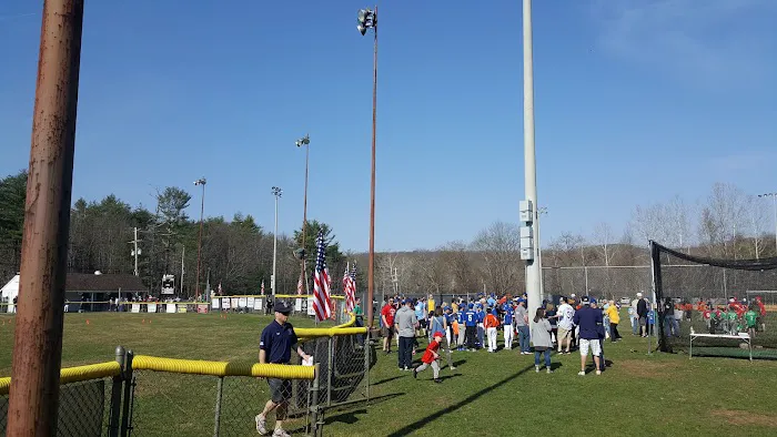 Boro field Picture 3