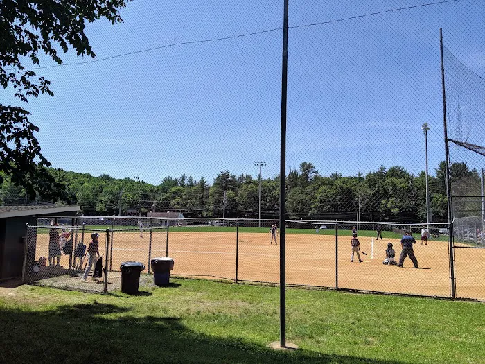 Boro field Picture 6