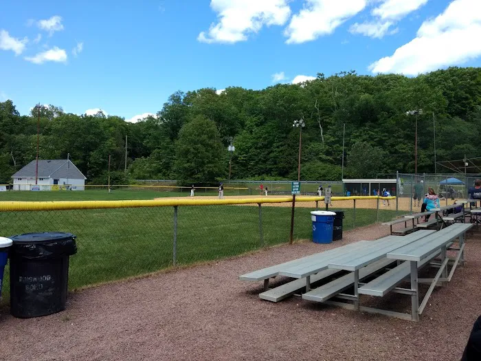 Boro field Picture 7