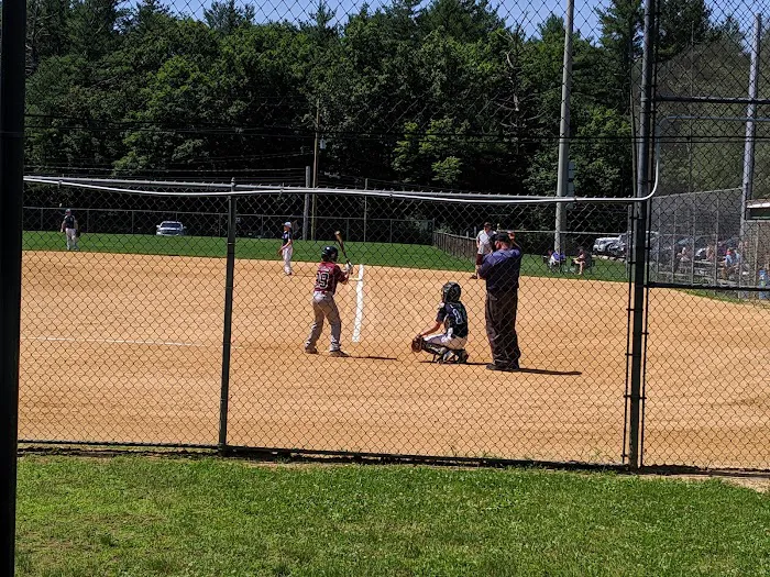 Boro field Picture 8