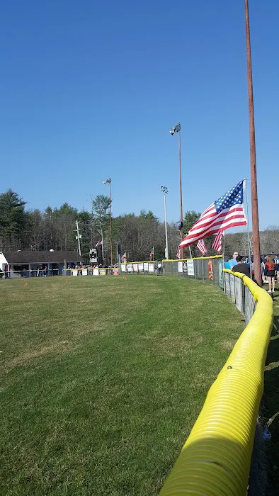 Boro field Picture 2