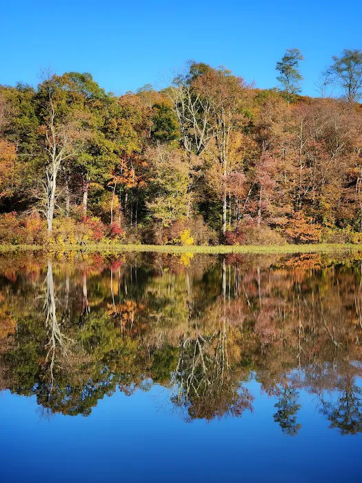 Little Sterling Lake Picture 4