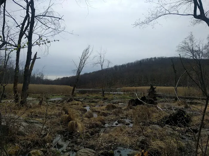 Little Sterling Lake Picture 5