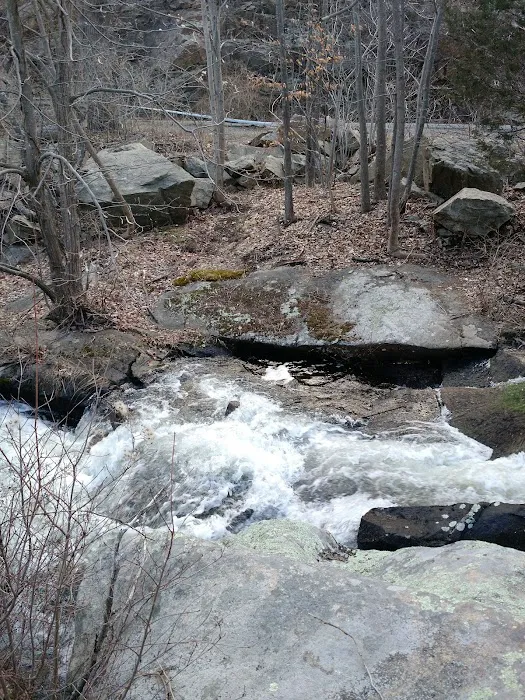 Little Sterling Lake Picture 6