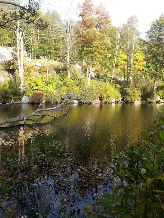 Little Sterling Lake Picture 2