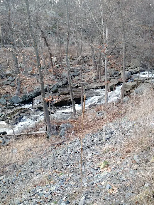 Little Sterling Lake Picture 8