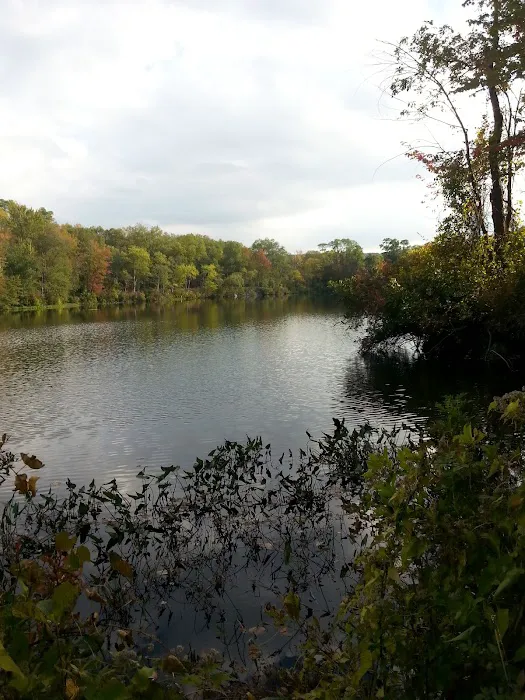 Little Sterling Lake Picture 3