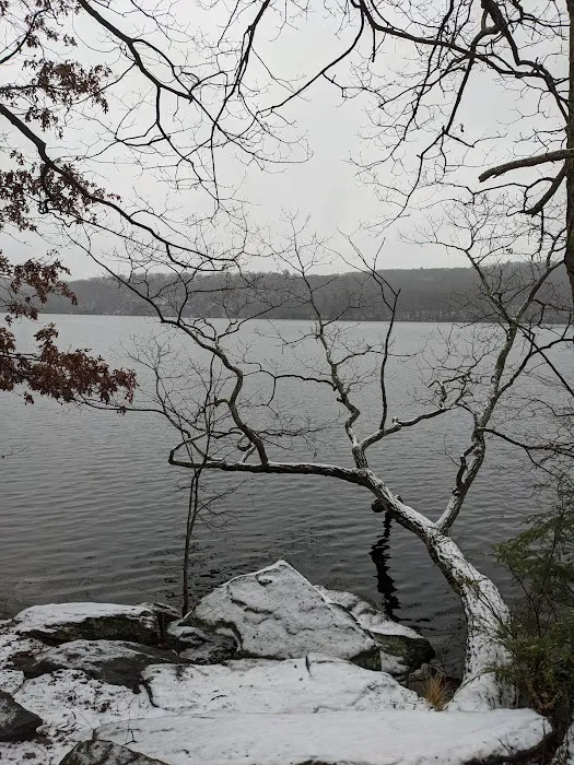 Sterling Lake Corp Picture 4