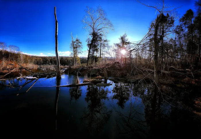 Sterling Lake Corp Picture 2