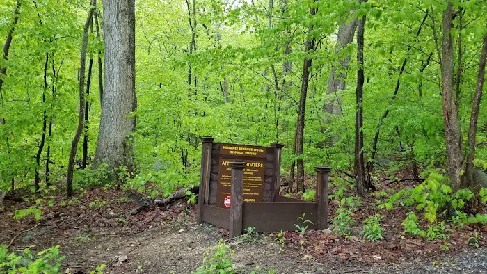 Blue Lake Park Entrance Picture 5