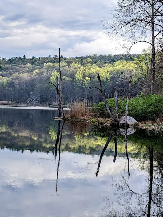 Laurel Meadow Ponds Trailhead Picture 1