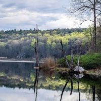 Laurel Meadow Ponds Trailhead ico