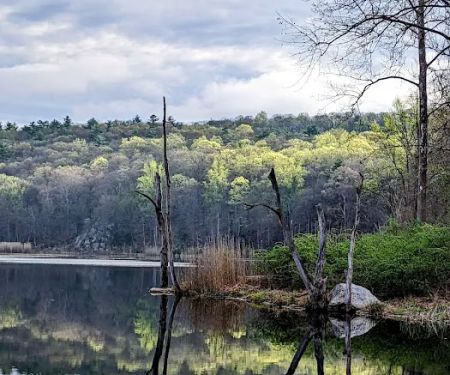 Laurel Meadow Ponds Trailhead