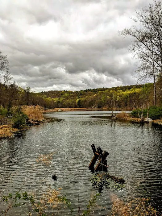 Laurel Meadow Ponds Trailhead Picture 4
