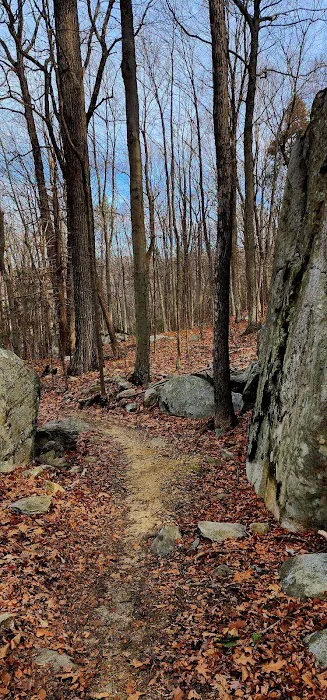 Laurel Meadow Ponds Trailhead Picture 5