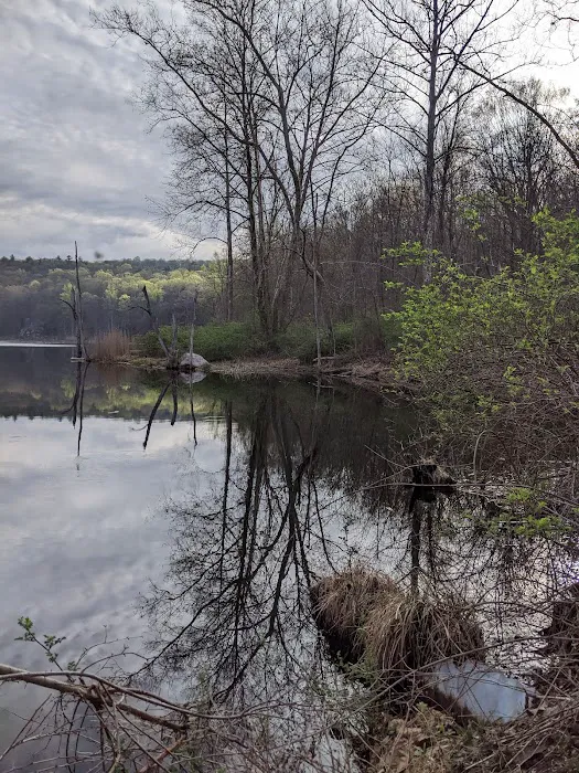 Laurel Meadow Ponds Trailhead Picture 3