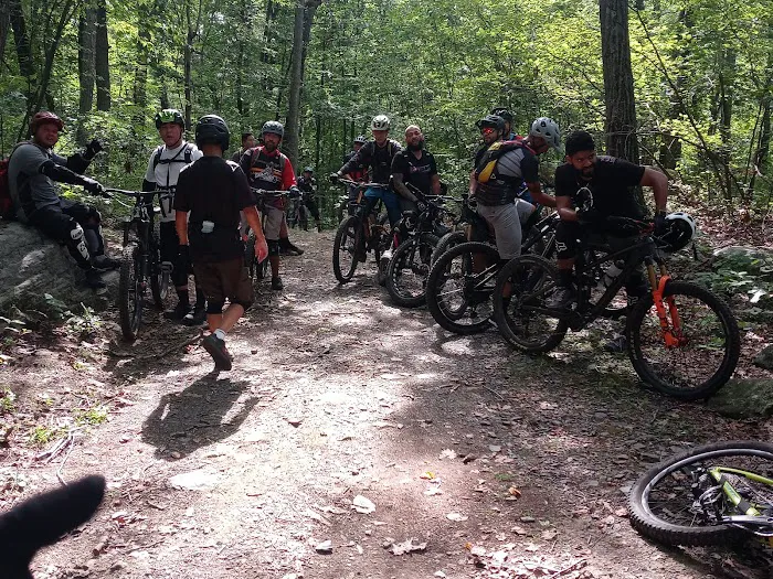 Caretaker's Lot - Sterling Forest Multi-Use Trails Picture 4