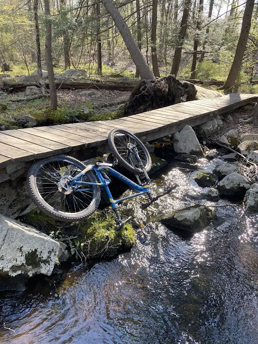 Caretaker's Lot - Sterling Forest Multi-Use Trails Picture 8