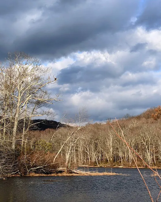 Sterling Loop Trail Head Picture 4