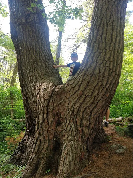 Sterling Loop Trail Head Picture 2