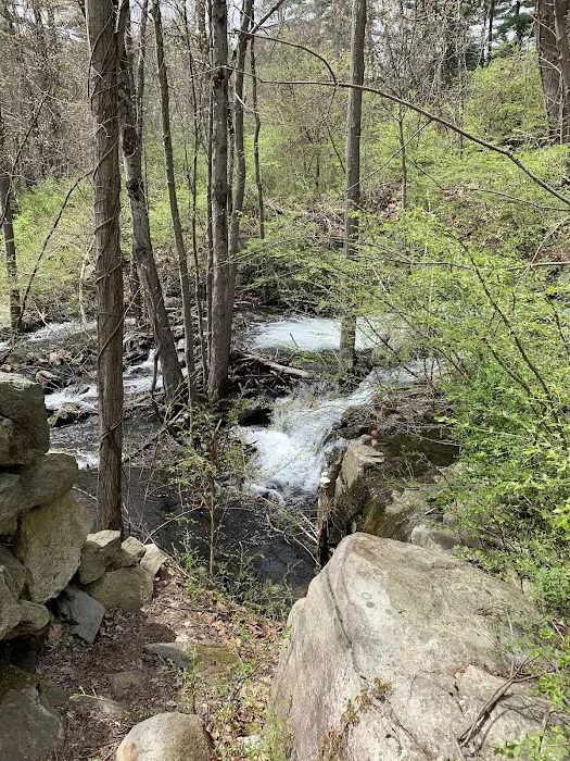 Sterling Loop Trail Head Picture 10