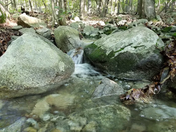 Sterling Forest State Park Picture 9